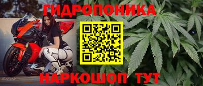 jwh Кингисепп
