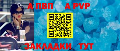 jwh Кингисепп