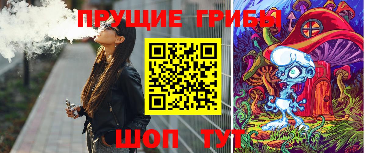 Щёкино  Галлюциногенные грибы Psilocybine cubensis  Вход с VPN  Псилоцибиновые грибы MAGIC MUSHROOMS 
