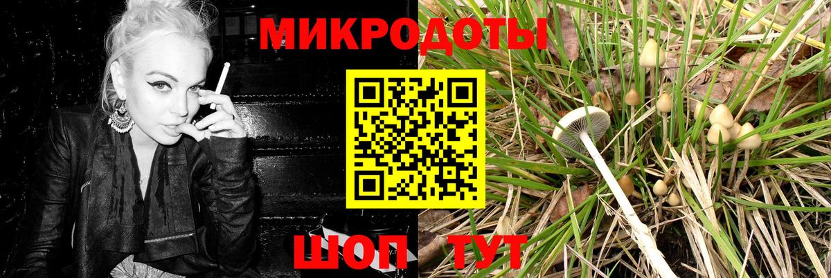 Галлюциногенные грибы мицелий Щёкино